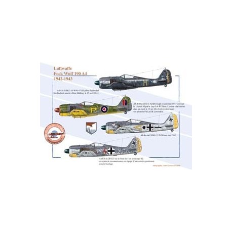 Fock Wulf 190 A4 (2), Luftwaffe, 1942-1943