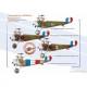 Nieuport 11 - French Military Aviation, 1915-1917