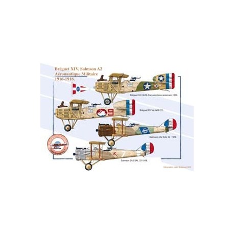 Breguet XIV, Salmson A2 - Aéronautique Militaire, 1916-1918