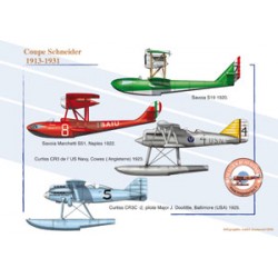 Coupe Schneider, 1913-1931