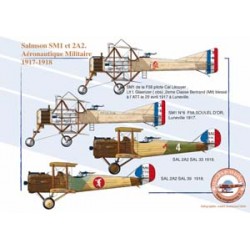 Salmson SM1 et 2A2 - Aéronautique Militaire, 1917-1918