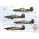 Hawer Hurricane Mk1 - RAF, 1940