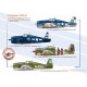 Grumman Hellcat - US Navy, Royal Navy, 1944-1952