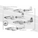 North American F82 Mustang - USAF, 1948-1950